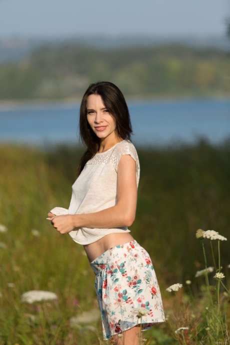 Meadow model galleries